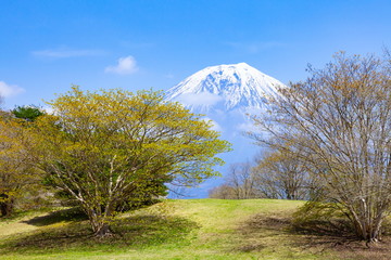 早春の富士山、静岡県富士宮市田貫湖キャンプ場にて