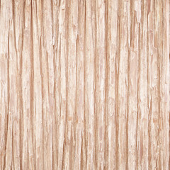 Tree bark texture background