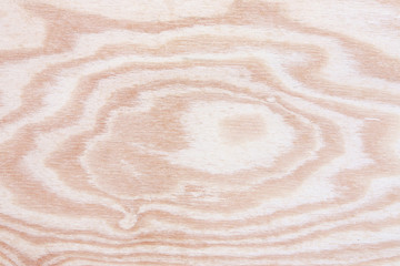 plywood texture with gnarl and natural wood pattern