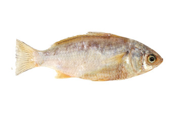 Dried fishes isolated on white background