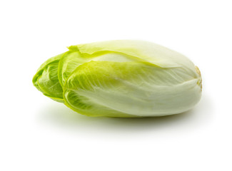 Endive (Cichorium endivia) with beautiful soft green leaves, isolated on white. - obrazy, fototapety, plakaty
