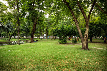 Fototapeta na wymiar Green grass landscape and trees of public park in Bangkok, Thailand
