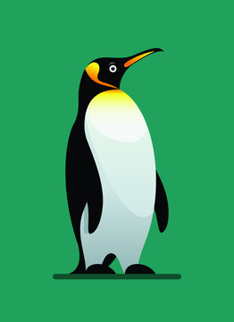 penguin winter animal flat style vector illustration