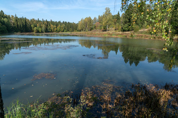 Осень в лесу, озеро.
