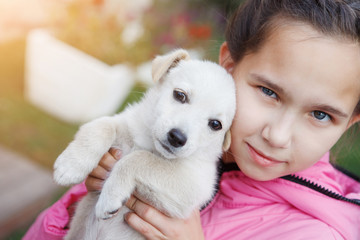 Girl with pigtails in a pink jacket hugs and kisses a white puppy.