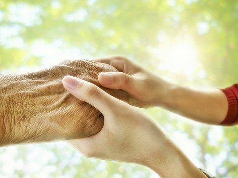 Young female hands are holding elderly man hand with flare light and blurred green leaves background in morning physical therapy, care and encourage concept - Powered by Adobe