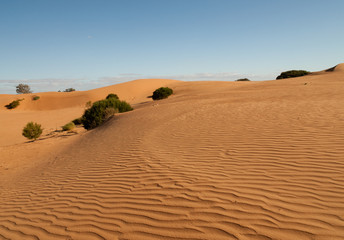 Fototapeta na wymiar Outback Australia and its dry interia landscape full of relics bone fossils and motor bikesl