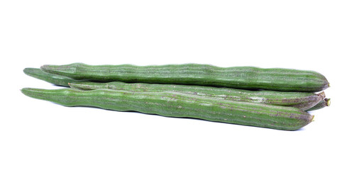 Moringa isolated on a white background