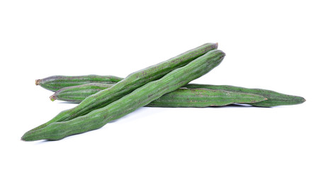 Moringa isolated on a white background