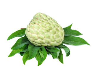 fresh custard apple on white background