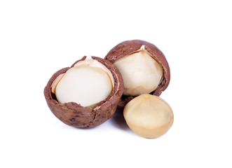 Macadamia nut isolated on white background