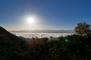 朝の千畳敷カールから見た雲海に浮かぶ南アルプス