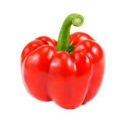 red pepper over white background