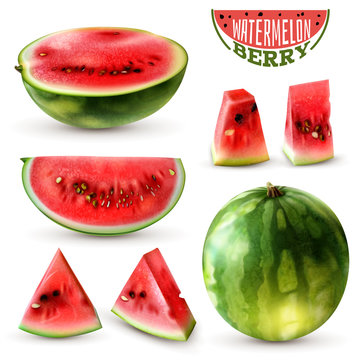 Watermelon Realistic Set 