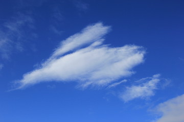 Obraz premium 爽やかな青空と、ハート形にも見える白い雲