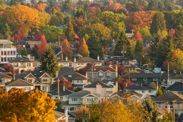view of fall leaves filled Vancouver downtown from high ground in the morning near sunrise