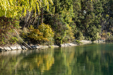 trees by the river with autumn leaves cast reflection on the water surface on a sunny day