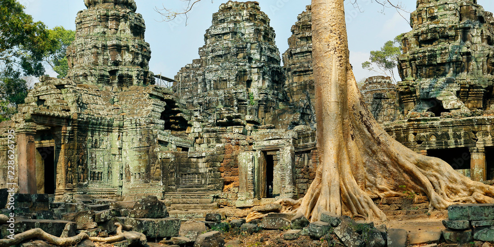 Wall mural trees and roots growing in the middle of wall and temple in angkor wat ,archaeologic park ,cambodia