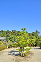 Fototapeta premium 庭園と青空