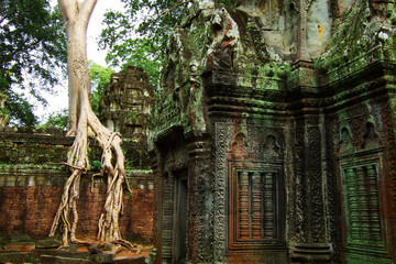 Obraz premium Trees and roots growing in the middle of wall and temple in Angkor wat ,archaeologic park ,Cambodia 