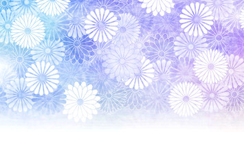 215 419 Chrysant Fotobehang Bilder On Canvas En Stickers Wallsheaven