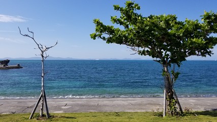 OKINAWA JAPAN, A couple