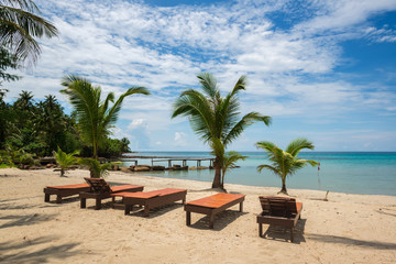 chairs and palms on the beach