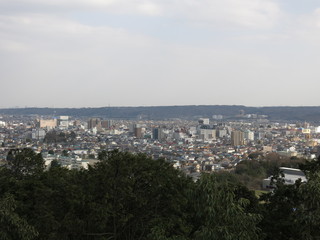Fototapeta na wymiar 天覧山の山頂からの眺め（飯能市街）