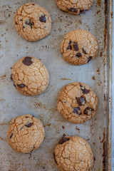 Chocolate Chip Cookies 