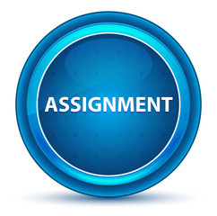 Assignment Eyeball Blue Round Button