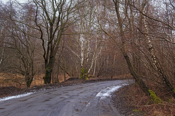 Rural road through the forest with the remains of snow in early spring.