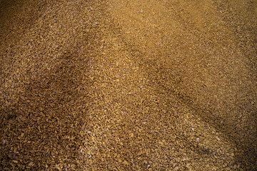 Granules of rape cakes in the agricultural factory for the production of rapeseed oil.