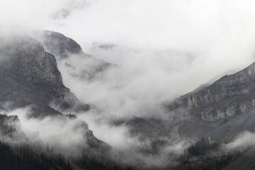Moody Autumn Mood in the Canadian Rockies while on the Icefield Parkway 