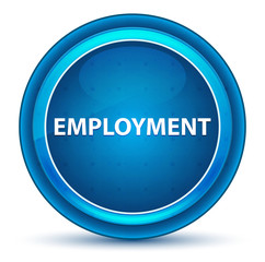 Employment Eyeball Blue Round Button