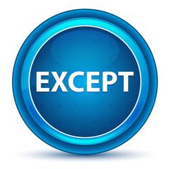 Except Eyeball Blue Round Button