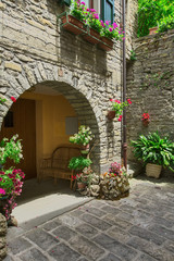 Fototapeta premium To typowa włoska ulica w małym prowincjonalnym miasteczku w Toskanii, we Włoszech, w Europie