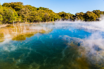 Kuirau Park, Rotorua 