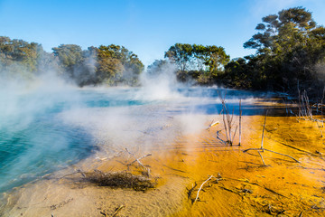 Kuirau Park, Rotorua 