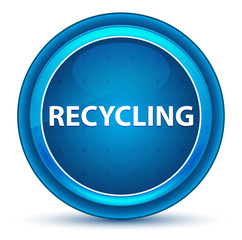 Recycling Eyeball Blue Round Button