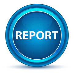Report Eyeball Blue Round Button