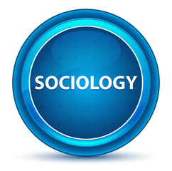 Sociology Eyeball Blue Round Button