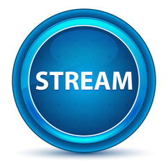 Stream Eyeball Blue Round Button