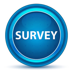 Survey Eyeball Blue Round Button
