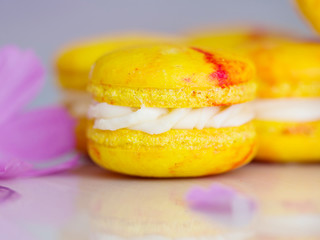 Yellow tasty pasta close up. Dessert. Biscuit