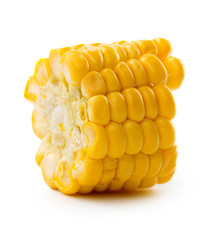 Corn on a white background