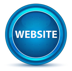 Website Eyeball Blue Round Button