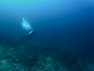 Wide shot of Scuba Diver with Air Bubbles in deep blue sea  in the Waters of Bunaken Island, Diving Bunaken, Indonesia.