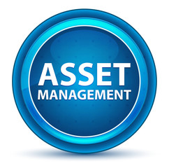 Asset Management Eyeball Blue Round Button