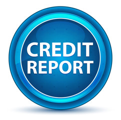 Credit Report Eyeball Blue Round Button
