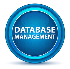 Database Management Eyeball Blue Round Button